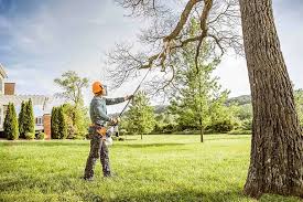 Best Tree Risk Assessment  in Leonardo, NJ